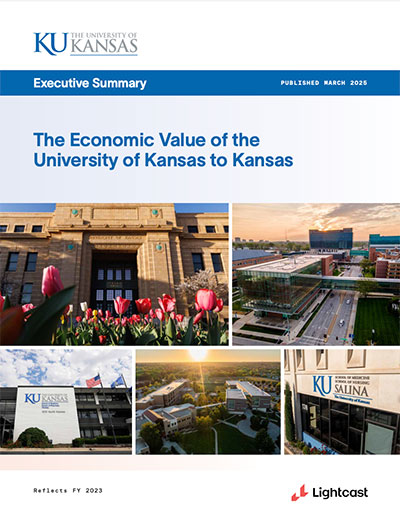 cover of the executive summary report